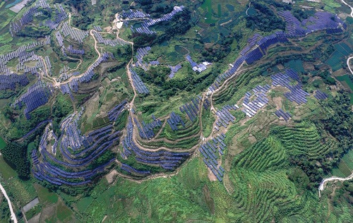 广州发展连州星子200MW农光互补光伏EPC总承包项目